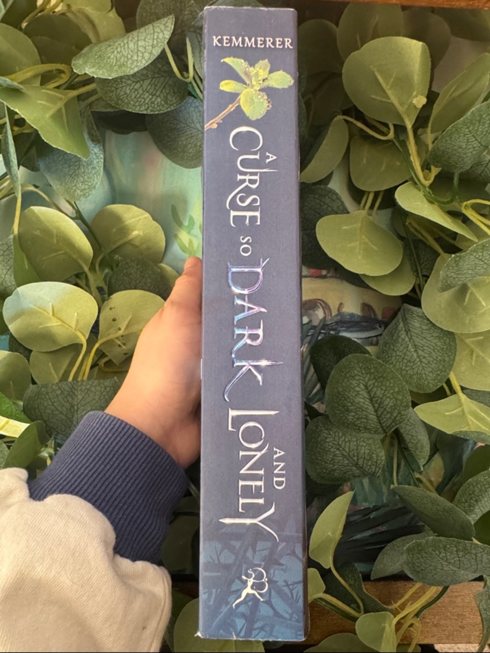 A Curse so Dark and Lonely by Brigid Kemmerer - Picture 3 of 3